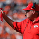 Illustration for article titled Andy Reid Has His Challenge Flag Taken Away